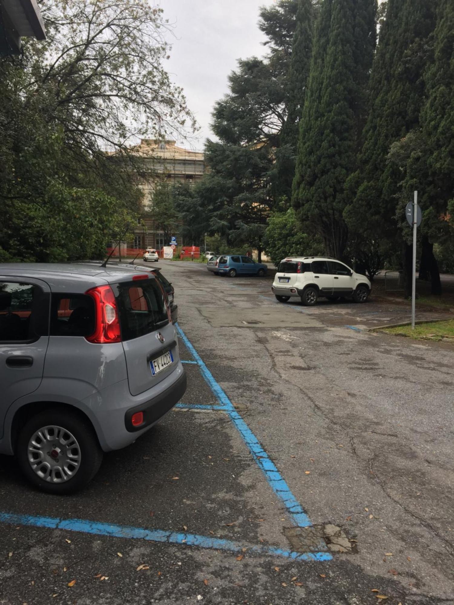 Appartamento In Centro Zona Fiera,Davanti Al Galliera Genoa Exterior photo